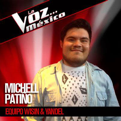 La voz 3 Michel